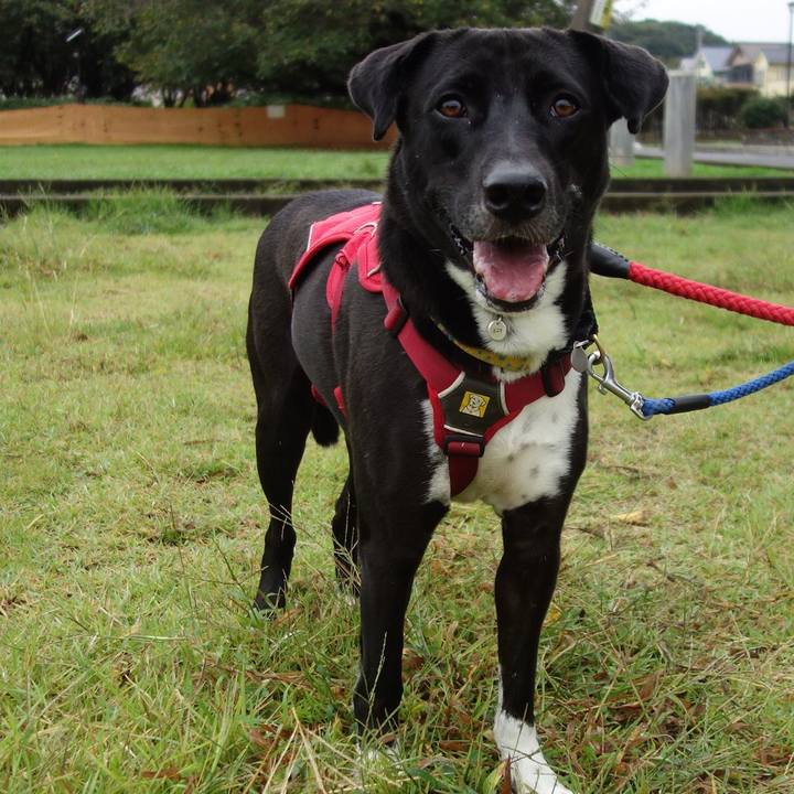 B693cd8c 907d 42ab 9d64 22b7a719dcaf 1601164950954