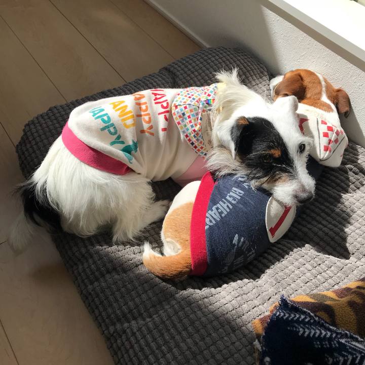 B693fc2e 6e2c 4457 8d09 00a01f480710 1519958130502