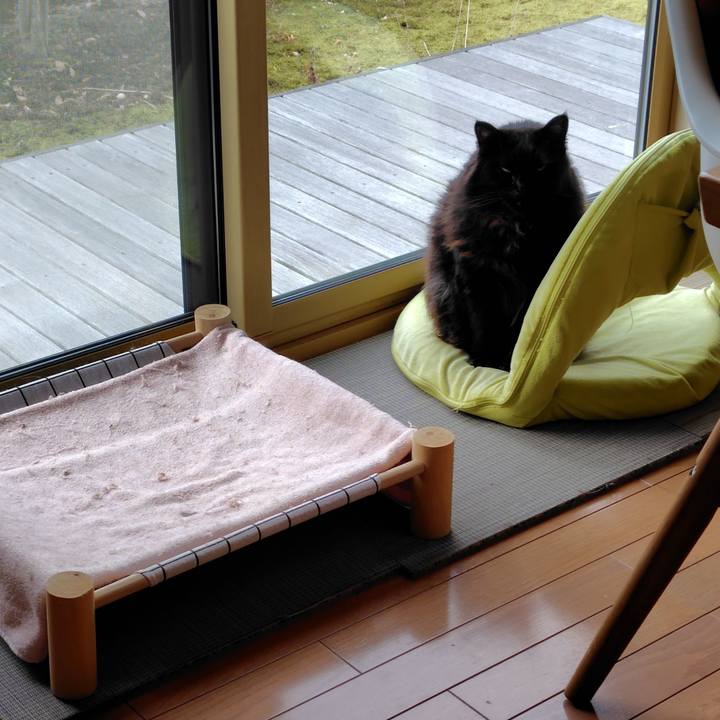 B69402ba 3446 4076 b000 f5848a6eb713 1769824030756