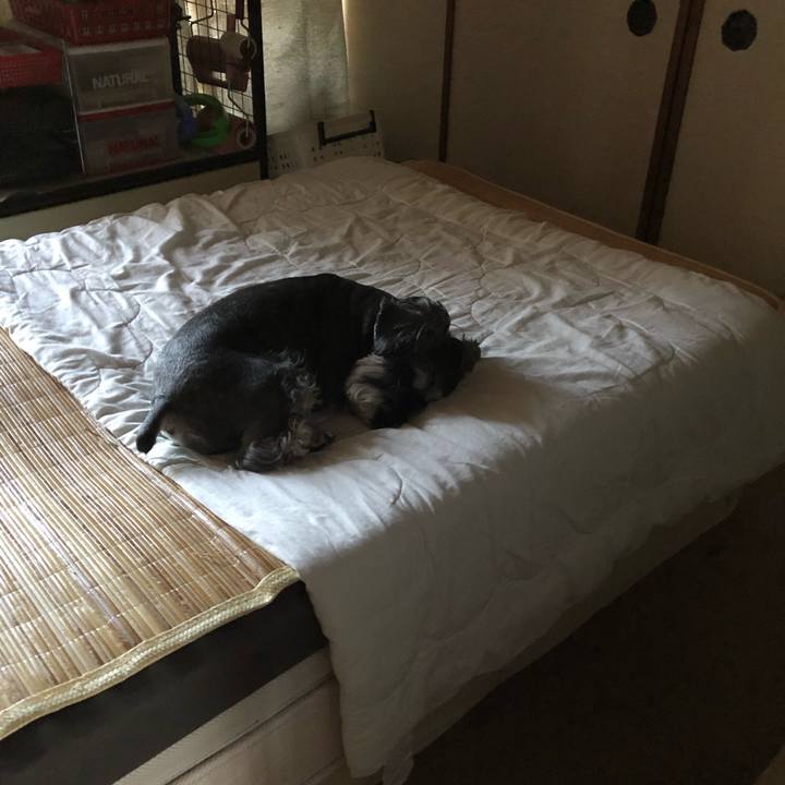 B6941a5d 21a1 4d24 a082 4724bbc98c7f 1661672579097