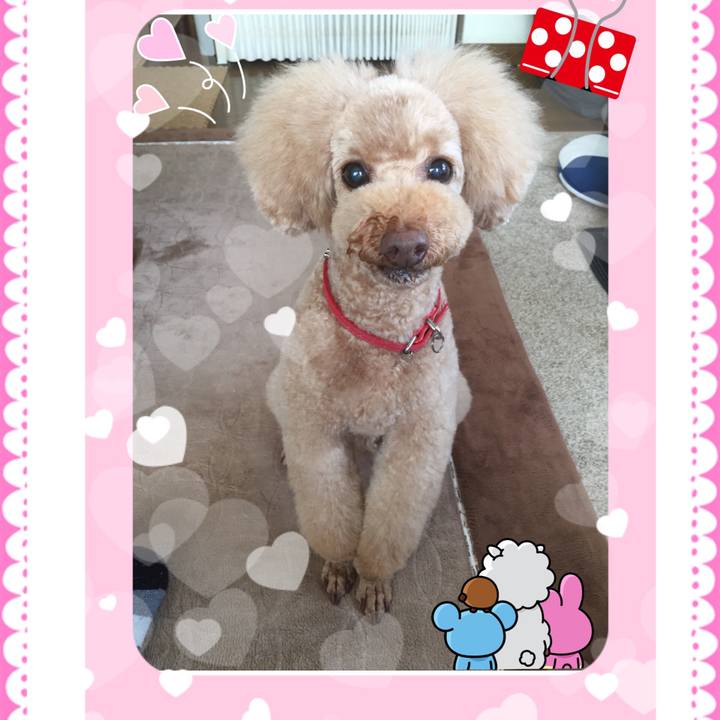 B6942668 9f4e 4746 bb78 44c0499ba5dd 1524722054526