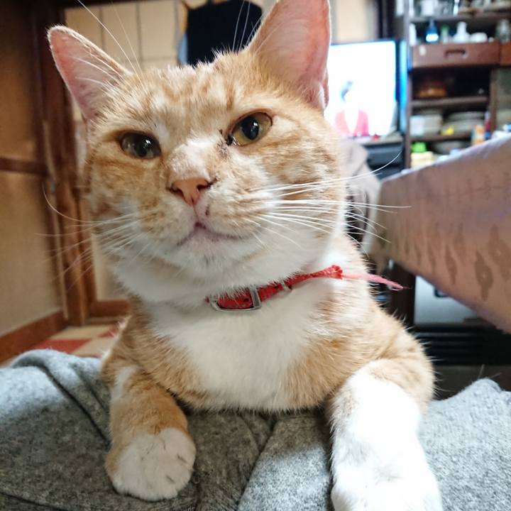 B694281b 0f3a 49aa 9804 723826a7c45d 1571742378899