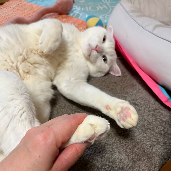 B6945cd1 0ca7 4bab 82c6 8b6634f71777 1735825533277