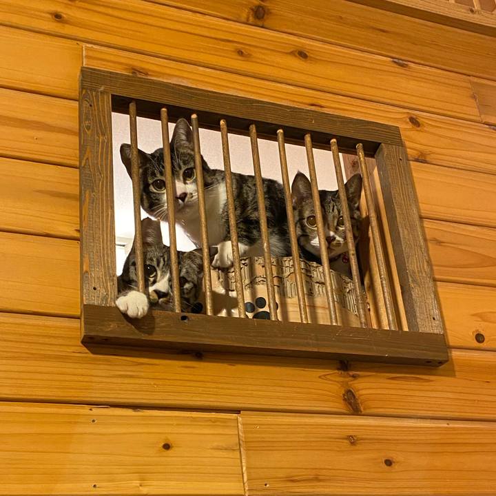 B6946905 d113 4c2c b95b 8be03cfa28f9 1707124557790