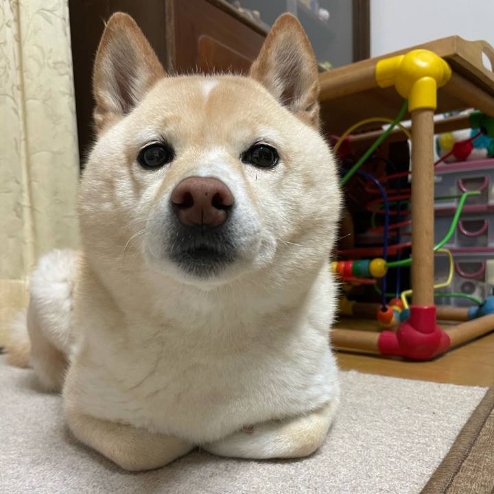 B694a353 6bac 441d 8696 a63266ed2f28 1714476884276