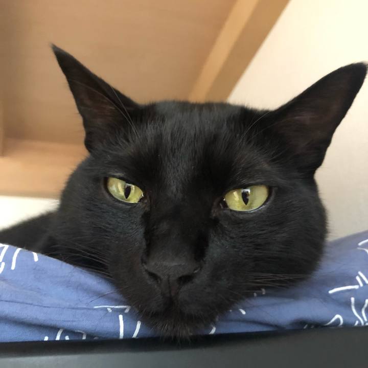 B694b12e c8fd 4096 98aa 2907db99333c 1556501259242