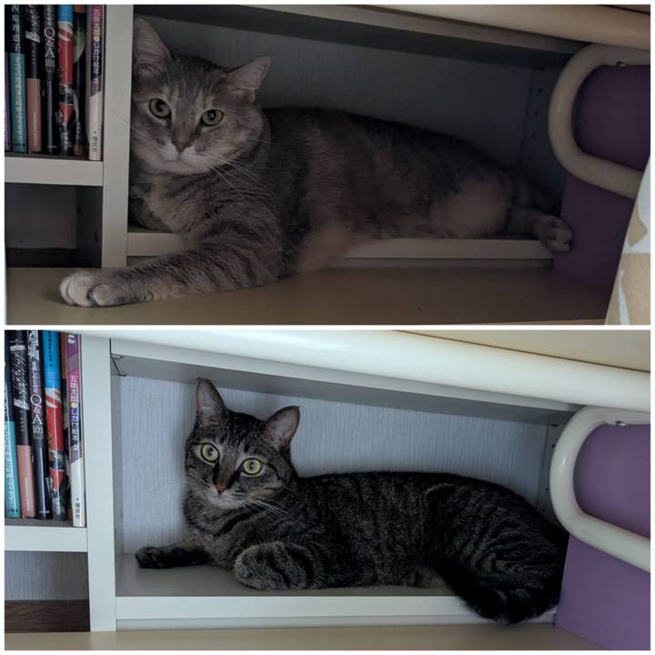 B694ba9c ff1c 4ef3 ac11 55c71b7c092c 1751004437399