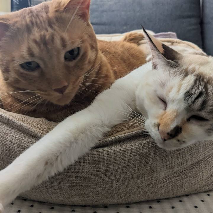 B6950da0 f3cc 4d01 ad24 7d71ae866330 1758004640134