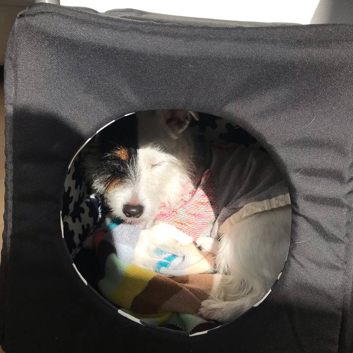 B6950dae 1b51 48e9 968d f9cb5d4acbcb 1543111503541