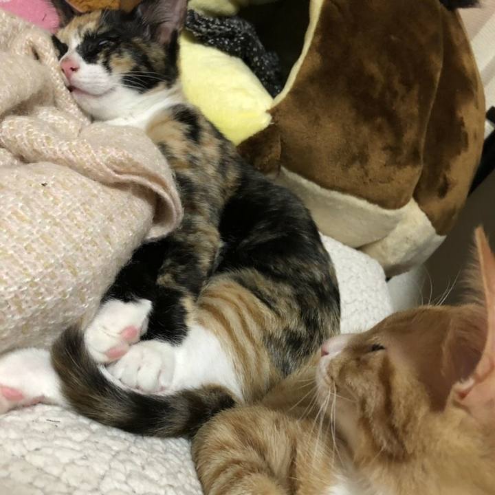 B6953046 e28c 4dfb 8e6d 2123192c17cd 1545308570979