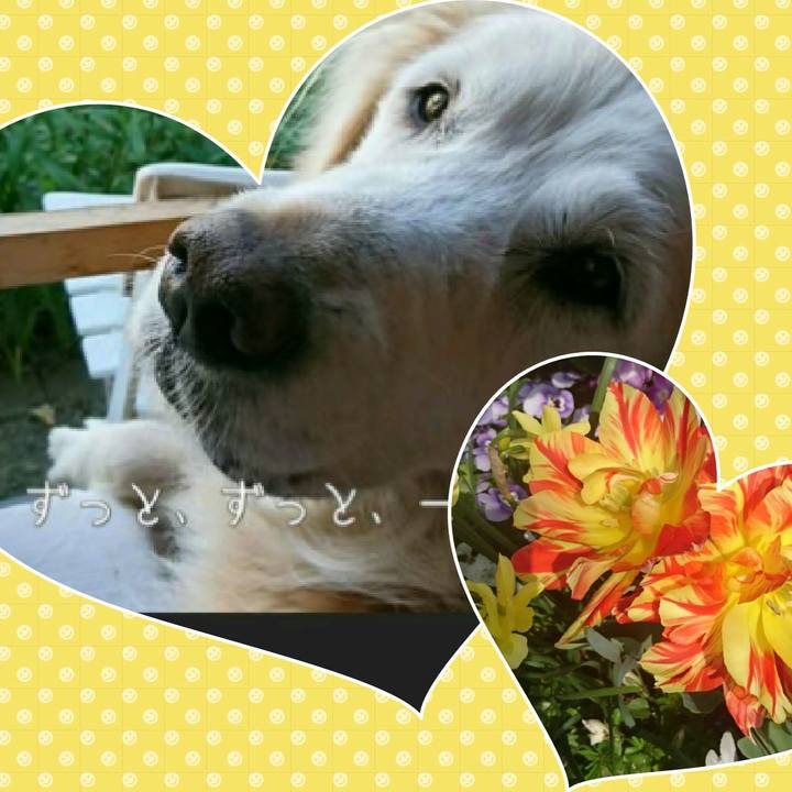 B6953296 0464 4083 b193 5a3e939169b7 1523098693355