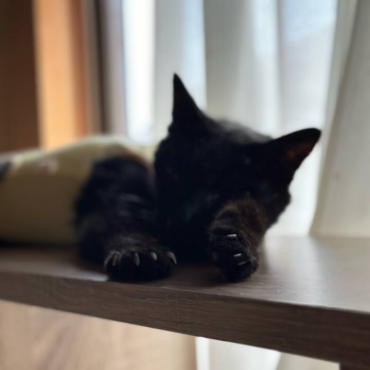 B6953e27 c8c6 4fde bfa4 11a0e4f6330e 1722646140823