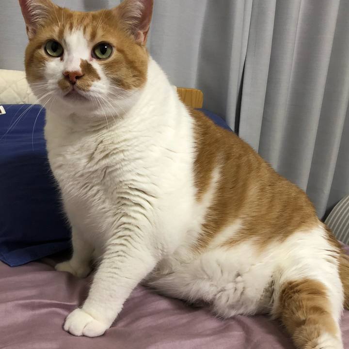 B69553e3 abd8 4735 8045 c5a7ba0e38ca 1557407450228