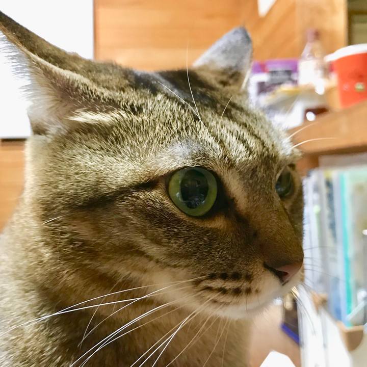 B6956da1 7dce 4d4c 98f7 eb9a146b6cea 1520082791186