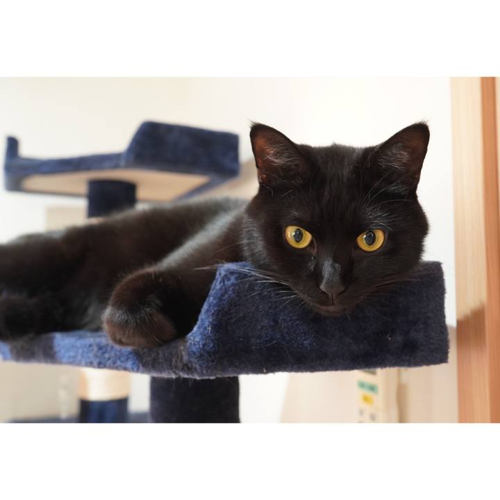 B69580b5 bbbc 4619 9b18 3484a0df319c 1597190138211