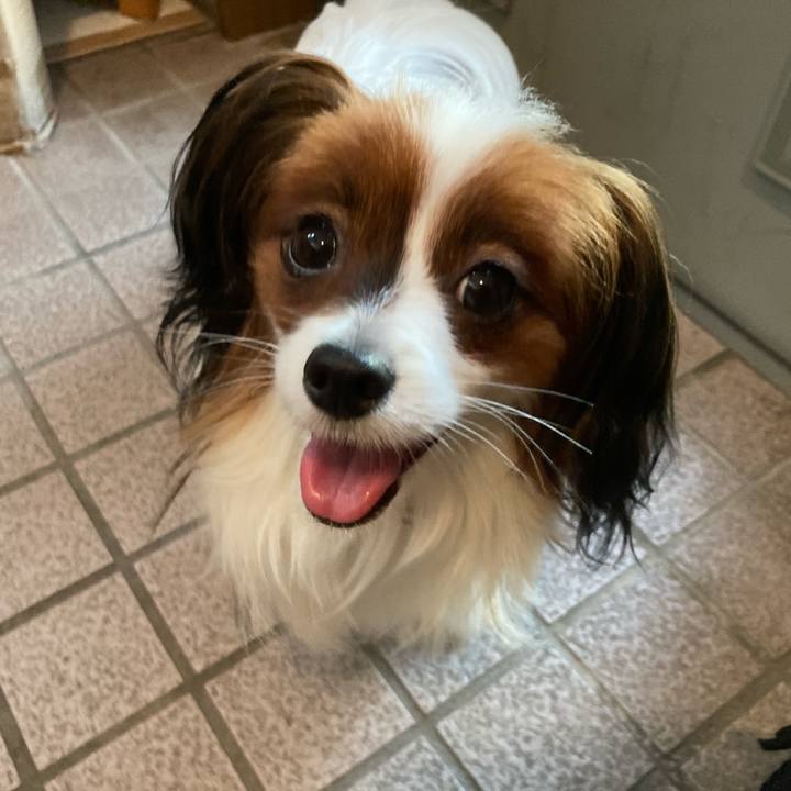 B6959d9e 13e0 4054 ae7d 412d953fefcf 1631174109373