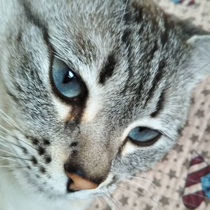 B695ecb0 0e6f 4d83 b946 86ec9b894317 1590077295608