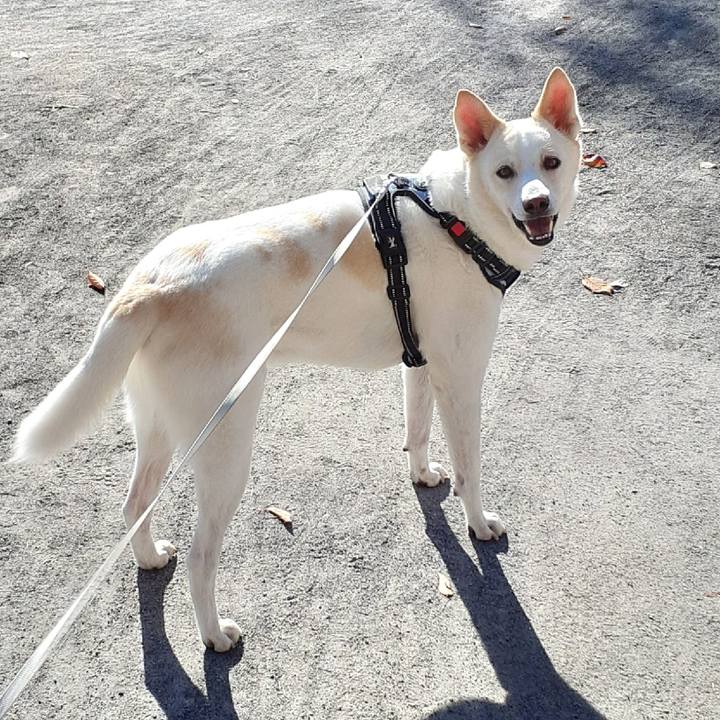 B695effa 6d62 4092 ae6a 1fe5a4328215 1636839341257