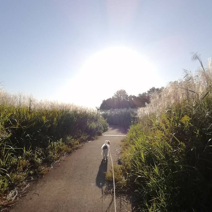 B69604d3 87ed 4f95 b797 cee7d7b5aa46 1570622104030