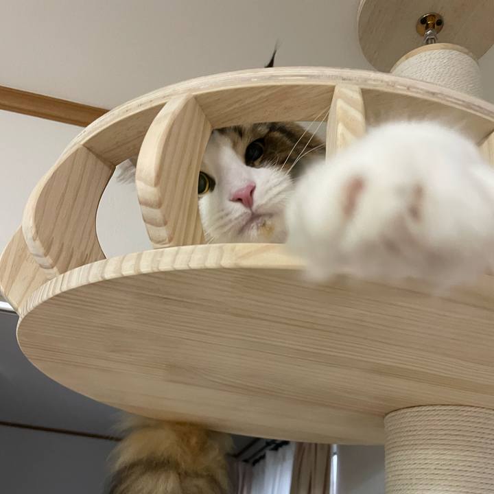 B69619a4 e309 45a1 b821 b8ea75815a2c 1651010889193