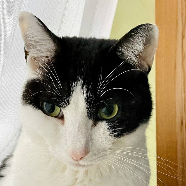 B69636f5 c1ad 430d 8d97 3d4255c615b2 1621044584460