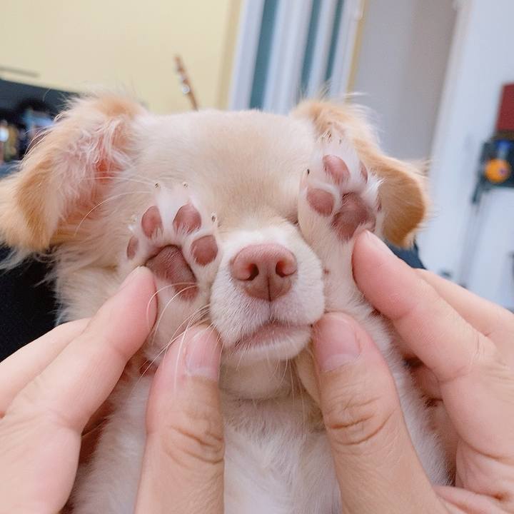 B696764f f67b 4668 987a 3d8b412f5ca4 1596348692017