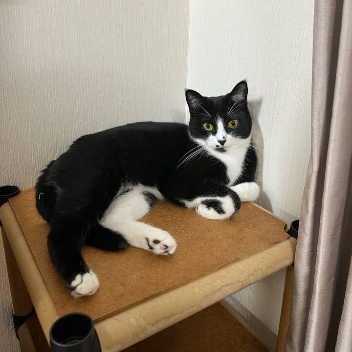 B6967a99 0395 4d9e 954b 1ddddf61410d 1691496470000