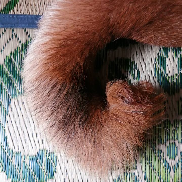 B6967ffa 753d 464a a25f 1aad1413de4e 1625969858375