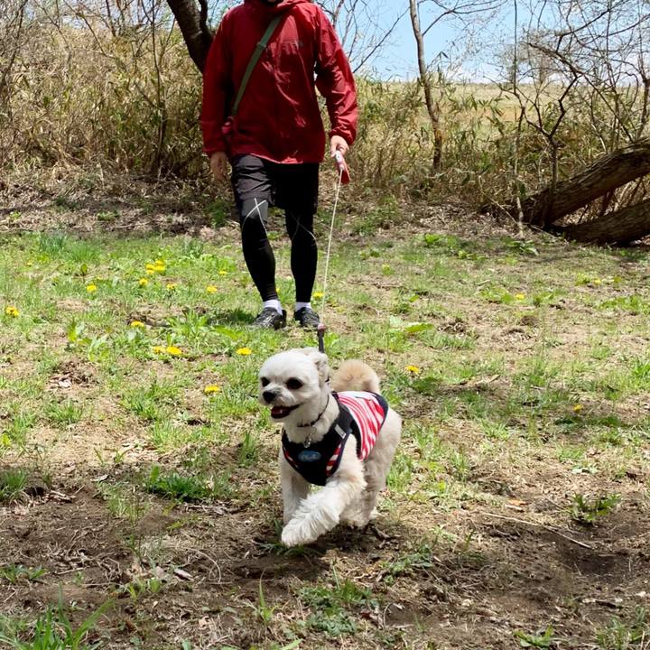 B69689ad ac08 468d 8749 09498b3f1794 1556546142352