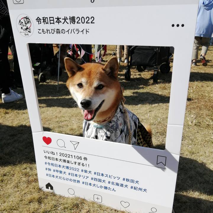 B696a0e3 ba86 4e41 b671 c9bed785930d 1667870243858