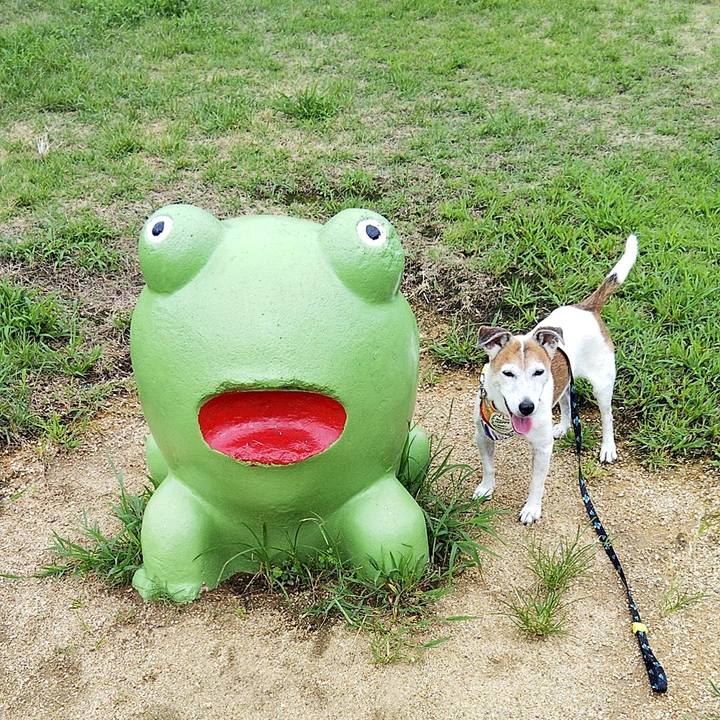 B696b3f4 d54d 4ae6 a645 c1659b4cf48a 1567234450190