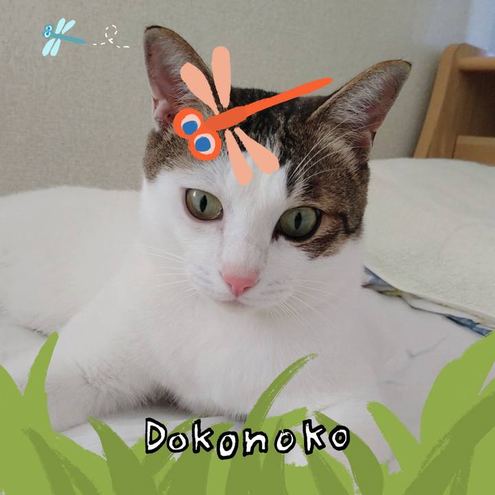 B696c021 7887 4d36 b946 6b69c719939d 1726814276800