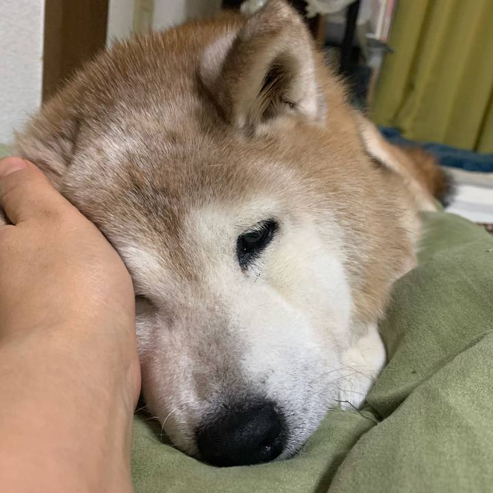 B696da83 a28e 44a8 8ef5 ba6c233b1bad 1695653457190