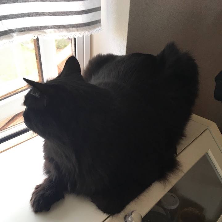 B696db67 1d25 4a6e bf67 9d803447fa20 1531019920441