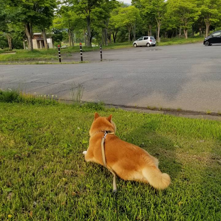 B6973669 39ac 42a6 afa9 6a0cd2b3cf8b 1653466359608