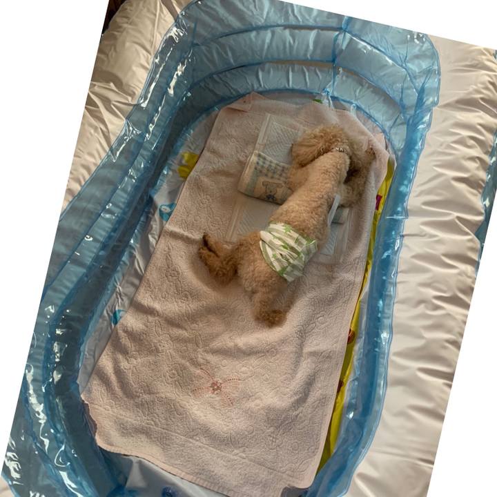 B6973ede a15f 4319 ada1 9473809d418e 1628992575355