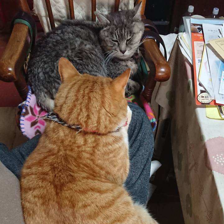 B69773a6 feb8 49c0 ae14 9df7502bec5a 1575166843141