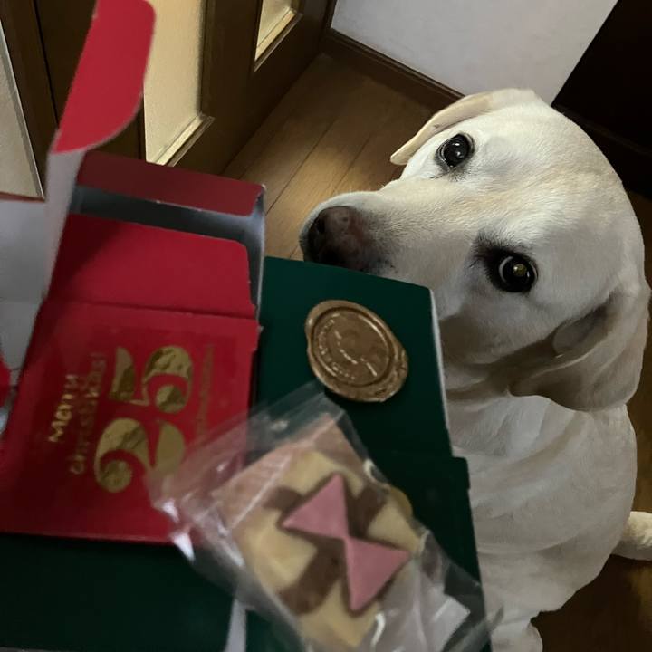 B6978f6e a894 4aa8 a752 c7d700f9d46c 1671930919325