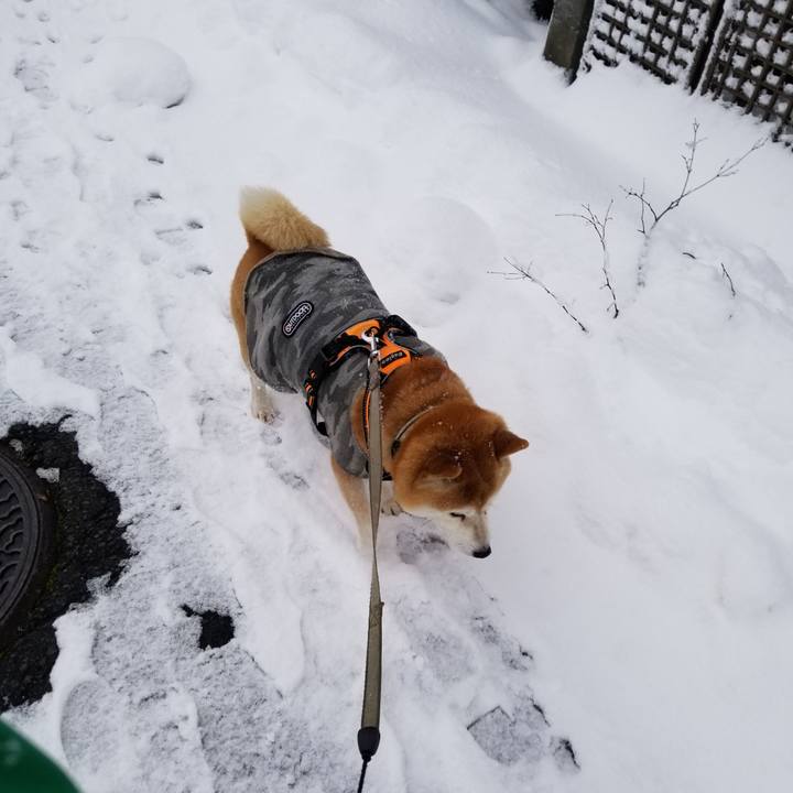 B697a7ec da18 481b 8875 aaee09af5358 1639891717172