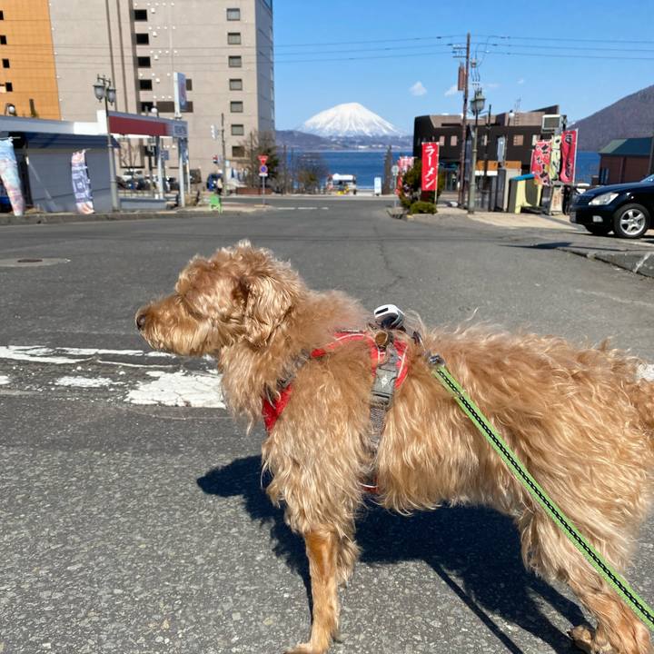 B697ad83 928a 49b1 a387 7fe9817af5a8 1679215433594