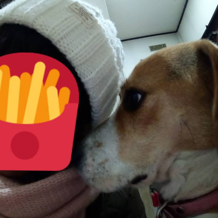 B697c417 eed9 4ad5 9e41 f847e40ccc9e 1579344346107