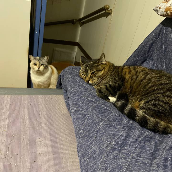 B697ca73 040c 4580 ace5 600f8637360f 1665413162707