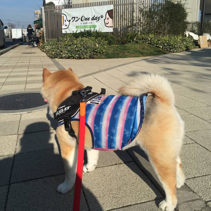 B6982b12 460d 4de4 91dd d806e10af6d2 1576311356906