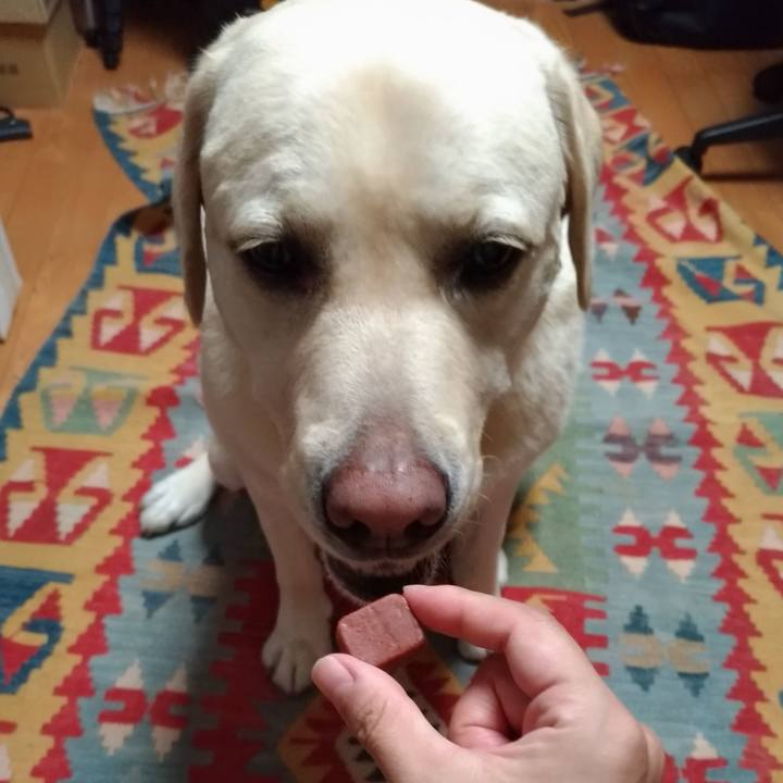 B698417f eb55 469e 92b5 16e54db808a0 1598366343031