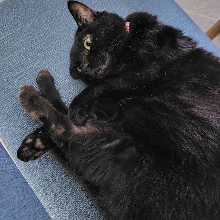 B6984f6c 6cdd 4c8c 9fae e756d7ea4572 1731416500268