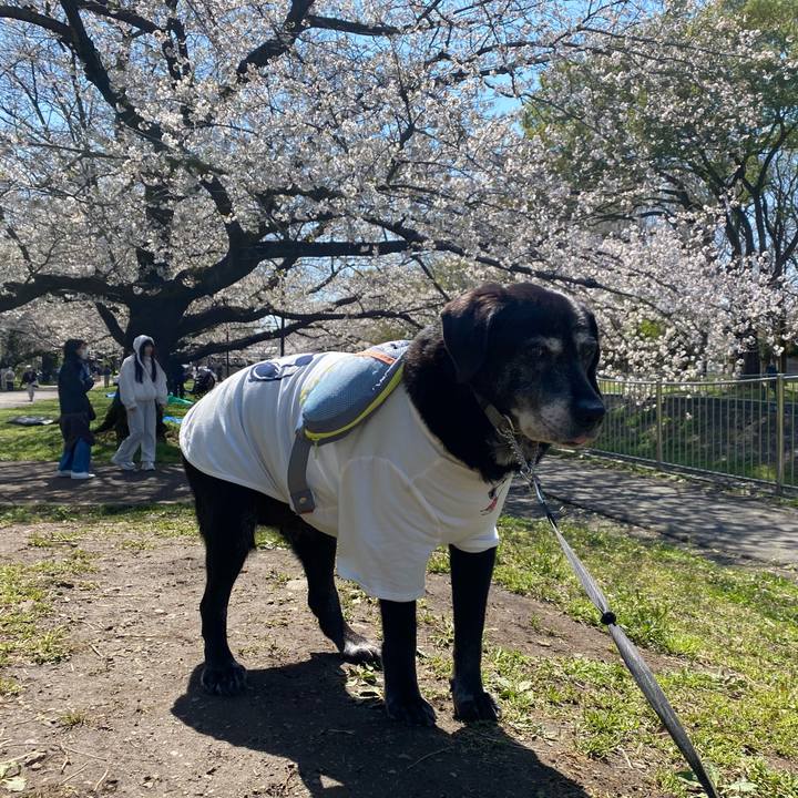 B6986ed0 bc81 43b4 86f0 687db5988050 1743757876160