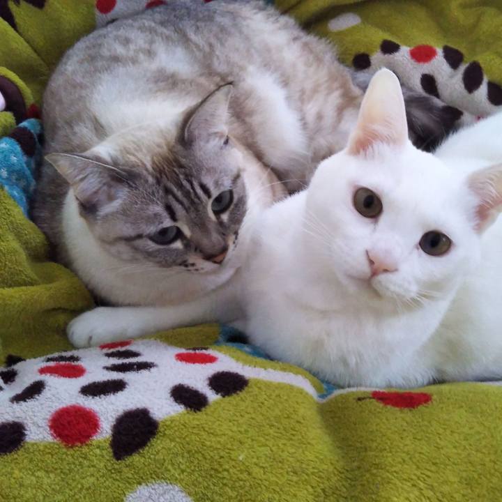 B6987c87 2fe4 467a a4f4 5e6ae3daa997 1548122303508