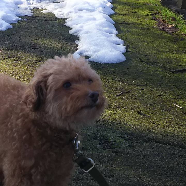 B698bdca 2004 49fd 95da 99258d694f6a 1549428387939