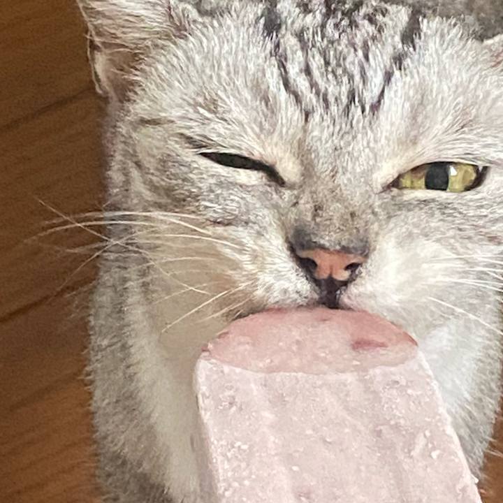 B698cc84 d4b4 4afb a02f 50c8a4caf3ff 1755762758411