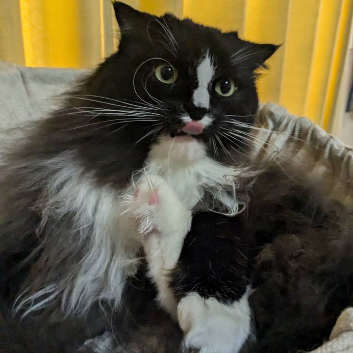 B6992847 3e86 4fc7 8f4c 09d70e5945ca 1733354839592